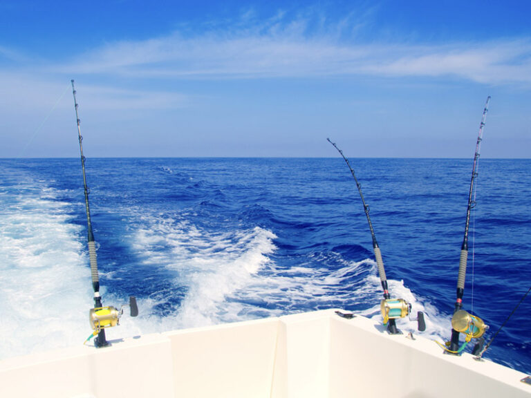 Best time to fish in Cabo