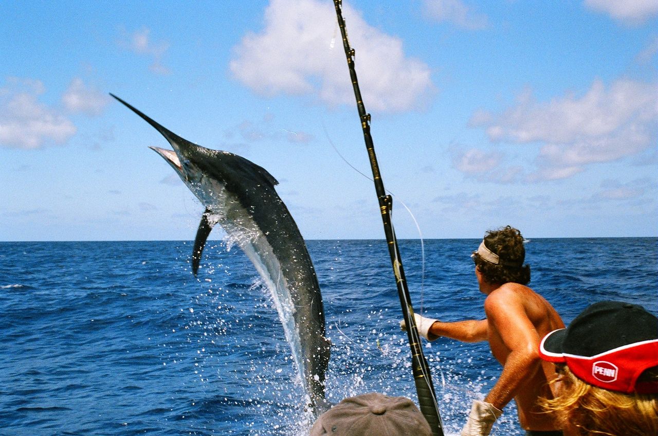 Marlin Fishing Cabo
