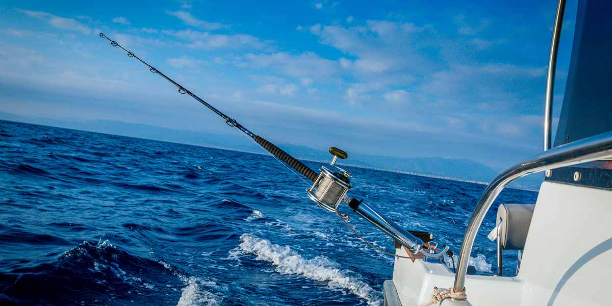 A Complete Guide on Cabo Sportfishing