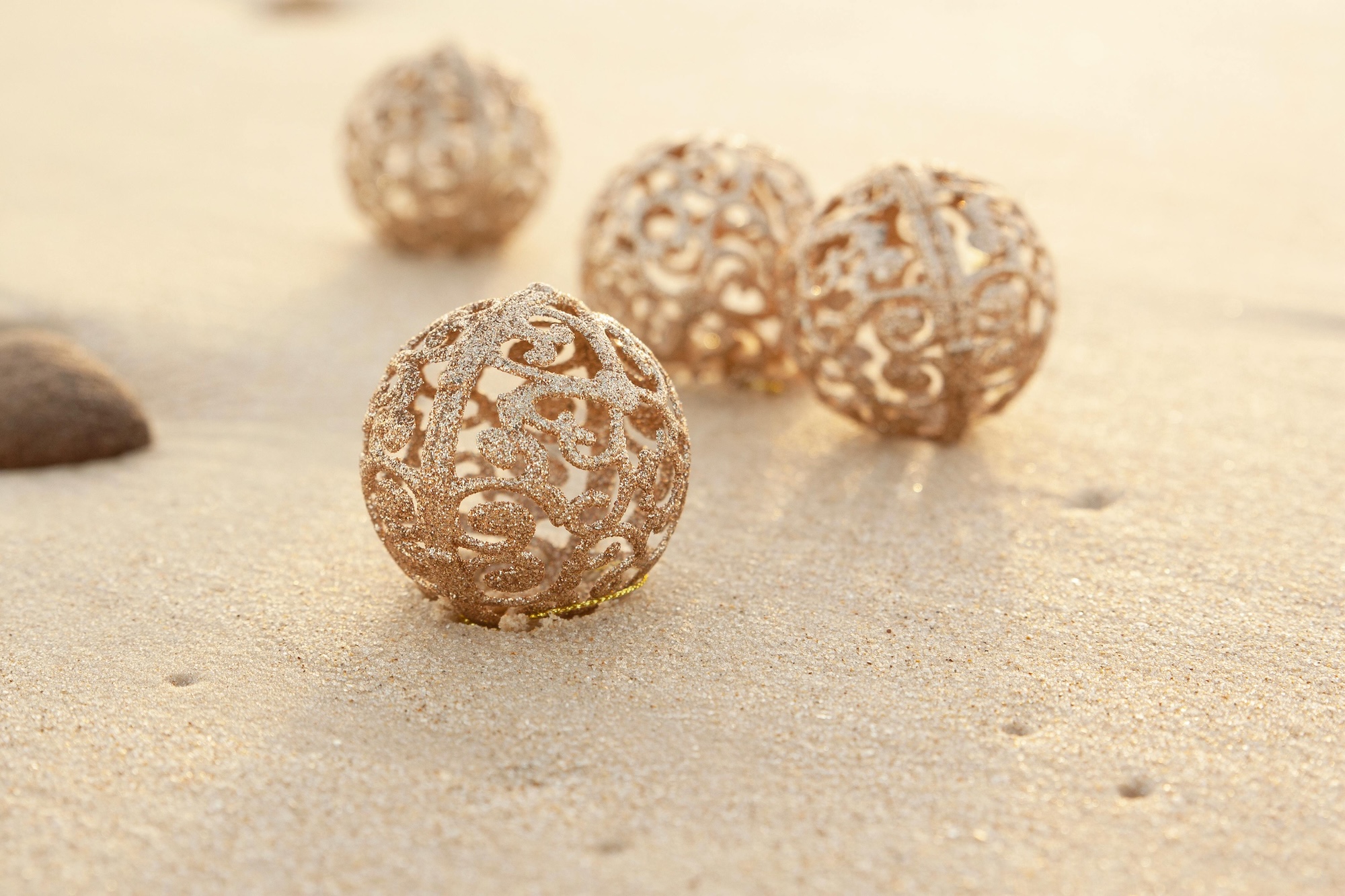 Top Christmas Activities and Attractions in Los Cabos