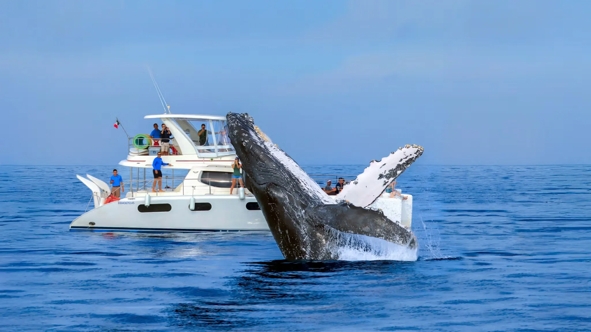 Family whale watching tour in Los Cabos