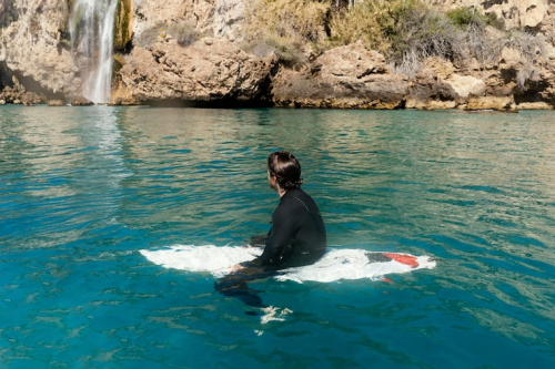 How Marine Wildlife Makes Los Cabos Unique