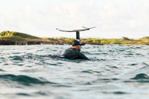 How Yacht Charters Support Whale Watching and Coastal Exploration
